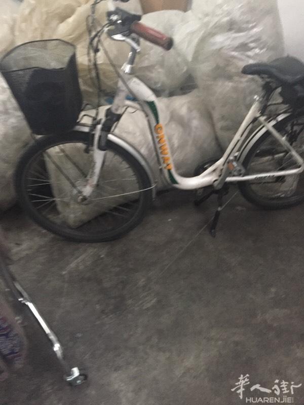 36负锂电池半自动电瓶车出售