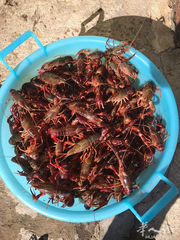 【图】招颜色布衣夫妻一对、款式简单价格高