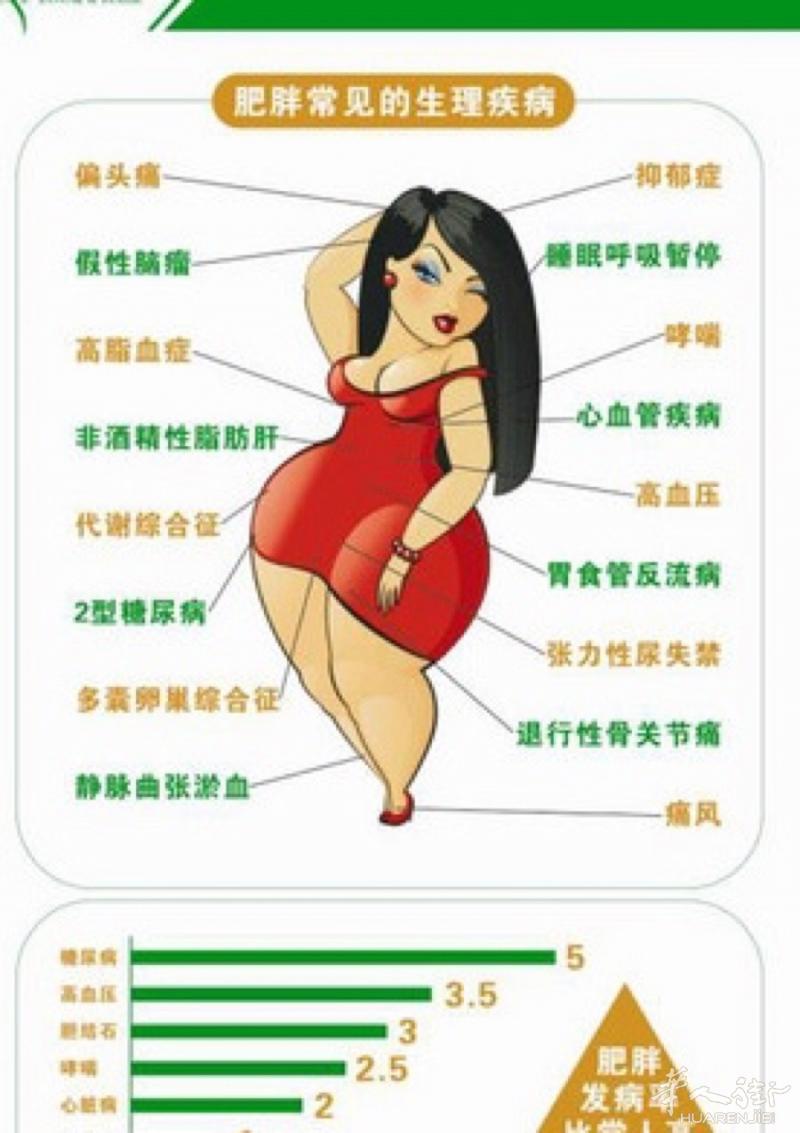 肥胖症的治疗：意大利的排脂疗法➕中医穴位治疗！