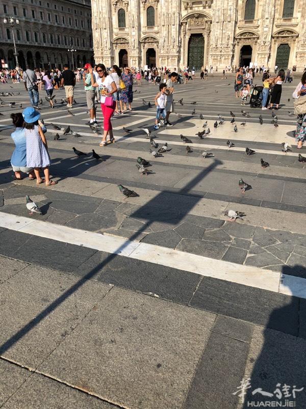 Alessandria!叫个翻译得！有没有！有得电
