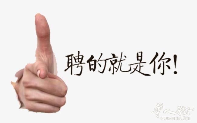 罗马仓库区招聘行政管理 人事管理 经理助理 办公室文员 男女不限