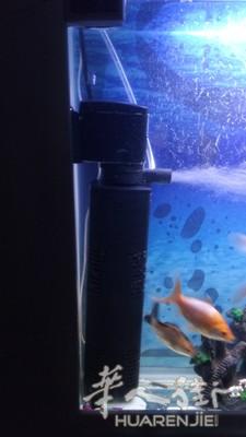 鱼8欧,鱼缸10欧,全新鱼食,增氧过滤器