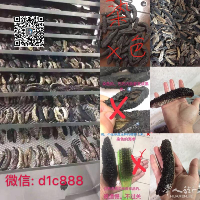 海参厂家直销 不染色。电话3778564919
