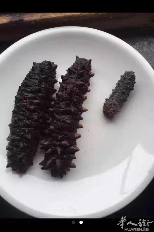 墨西哥海参！本人居住意大利。有需要海参的朋友。我可