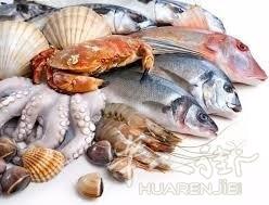 批发海鲜