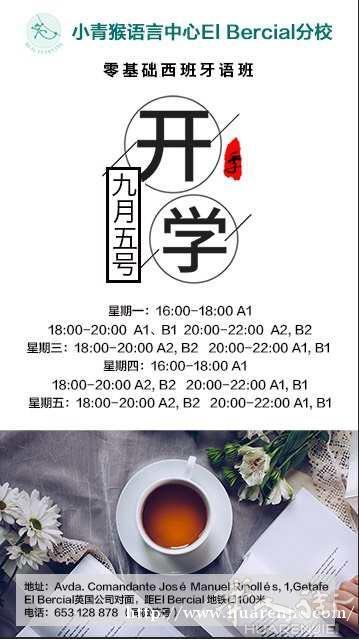 小青猴语言中心招生啦！