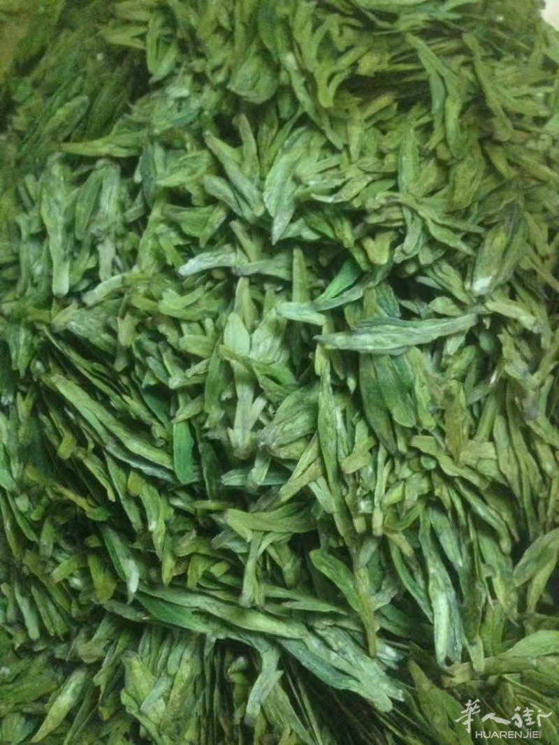 提供龙井茶