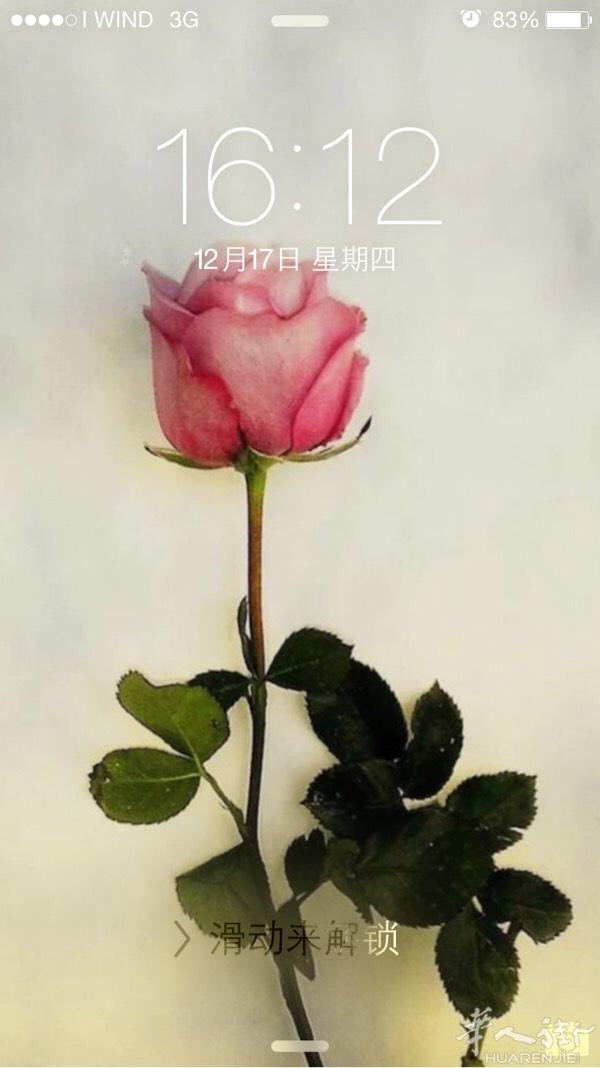 本人专为frosinone省华人同胞陪同翻译，陪同