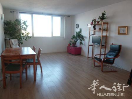 94区fresnes 四房一厅出售