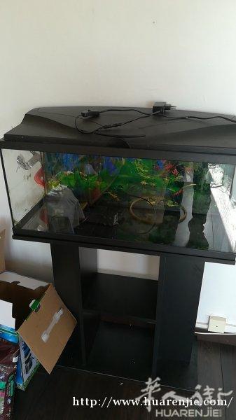 鱼缸