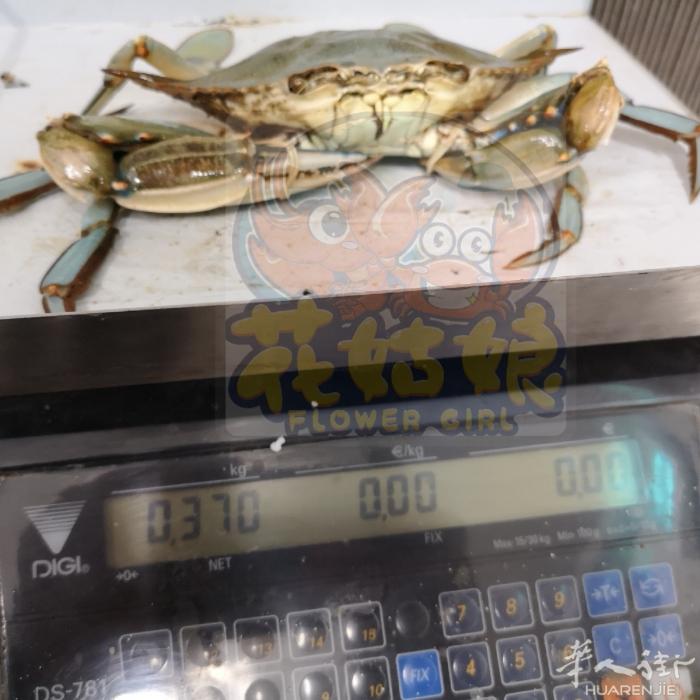 希腊梭子蟹小龙虾空运直达。团购或海鲜店加微信2863345819或扫一扫。100