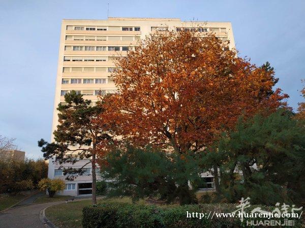 圣诞200欧大礼送