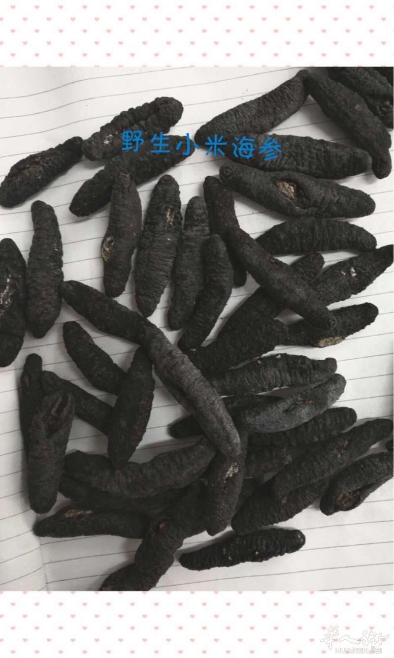 出售野生海参，海马，鱼胶等等