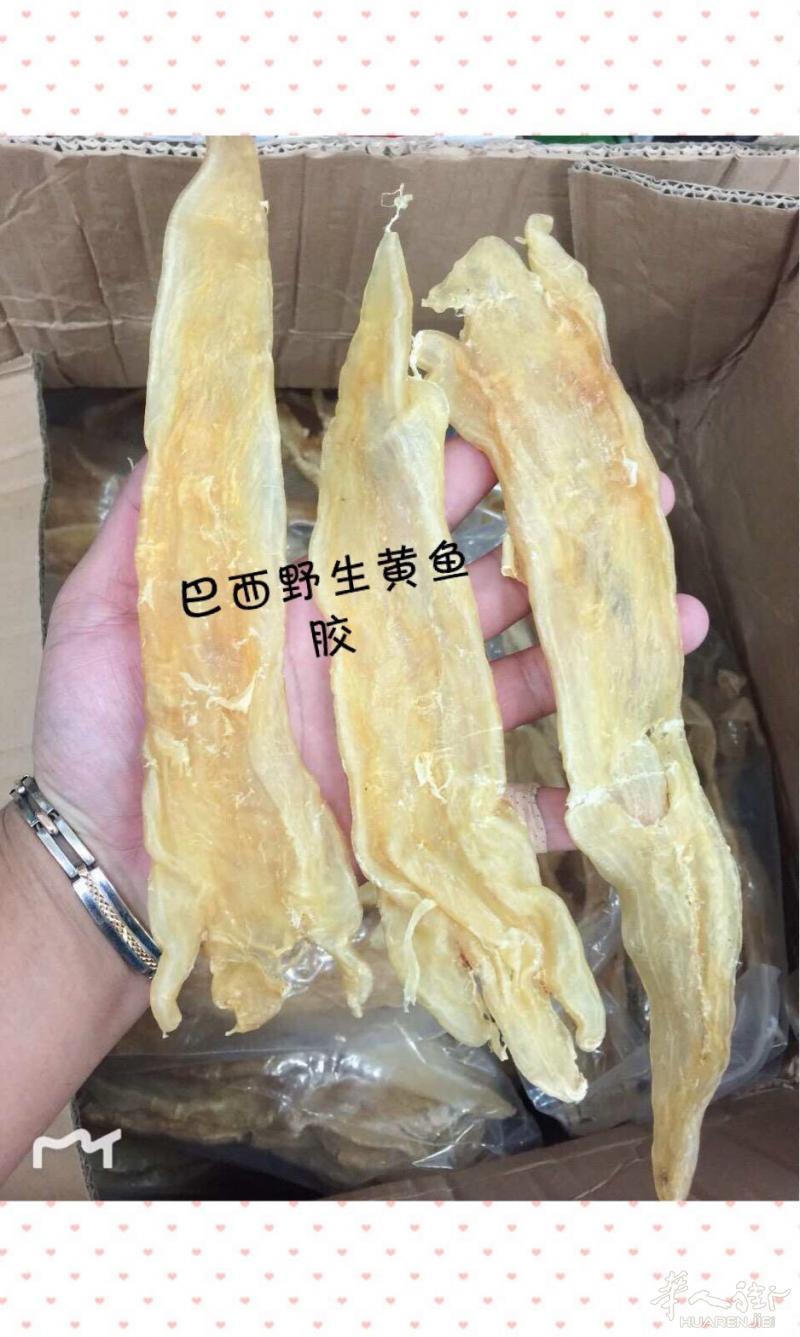 出售黄鱼胶、海参、海马、鹿鞭等等