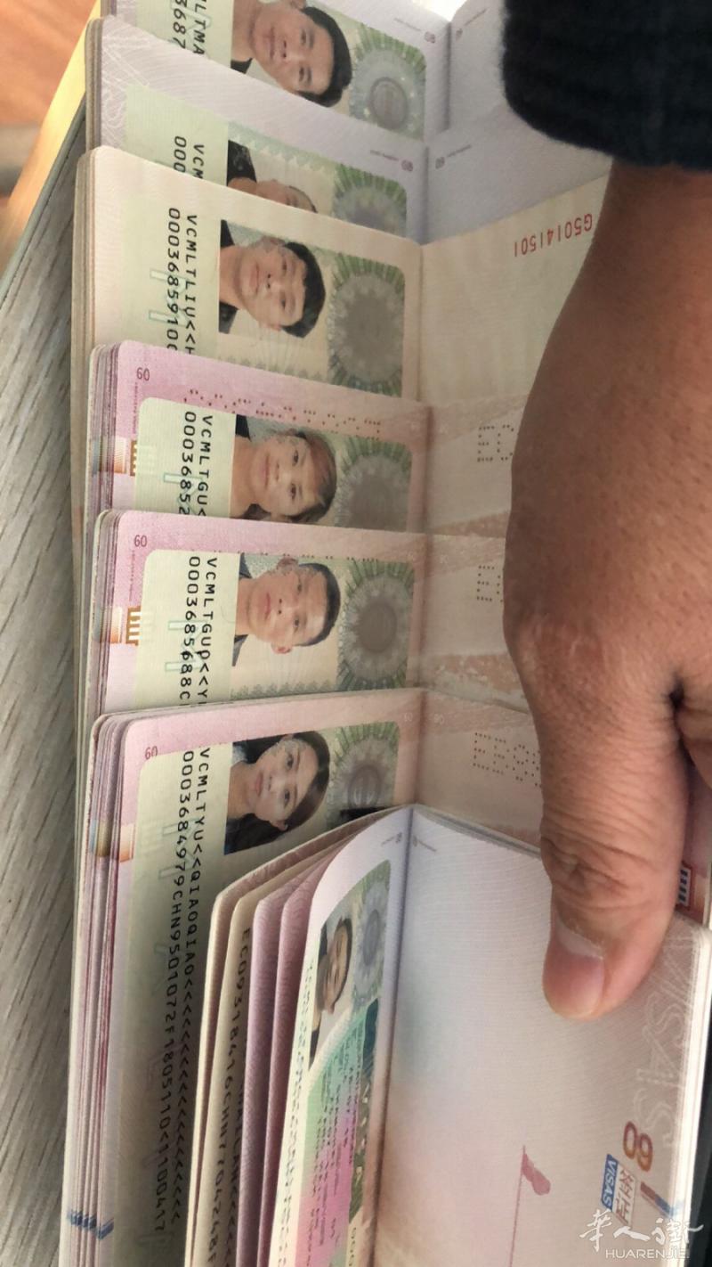 欧洲拒签本，只收拒签本，拒签赔款