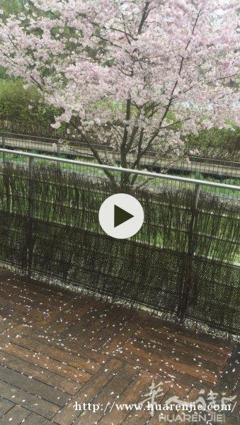 8号线 富人独立小区 豪华两居180度湖景房 超大阳台家具电器齐全拎包入住