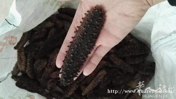 葡萄牙野生干海参批发