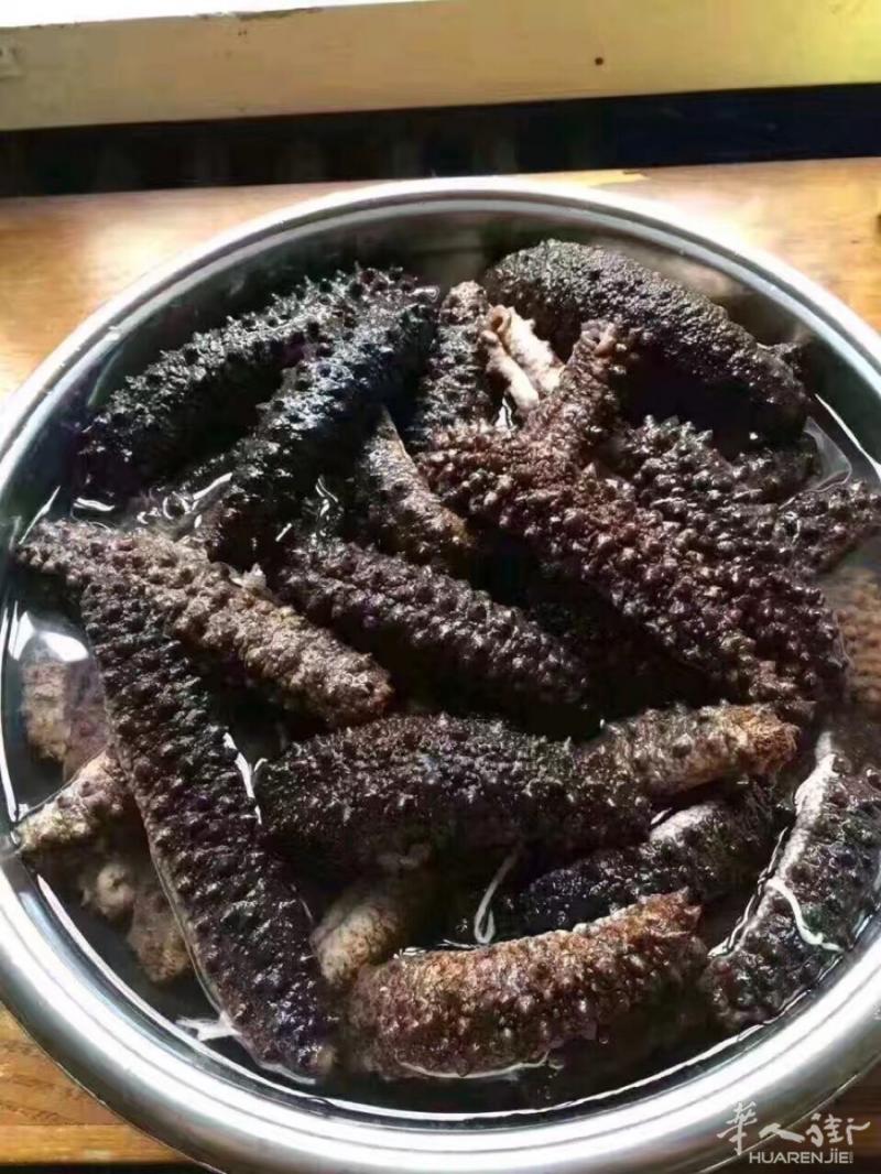 海参批发 微信电话同号3778564919