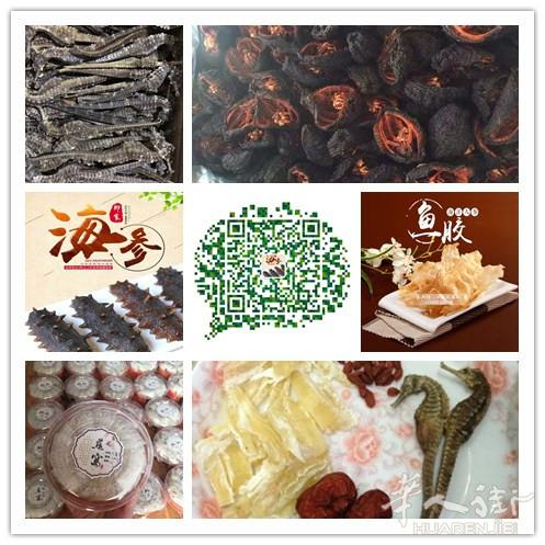 海洋中的极品，地中海参，海马，冰岛红极参，鳕鱼鱼胶，零售，批发，招代理。微信es536g