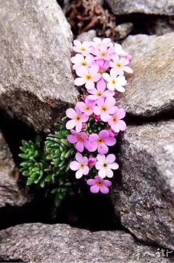 女 寻找另一半  时间都去哪儿了  84年离异