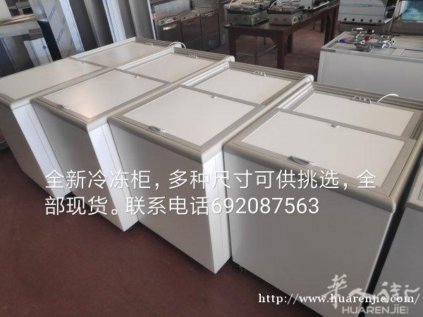 全新冷冻柜半价清仓！勿失良机 多种尺寸全部现货
