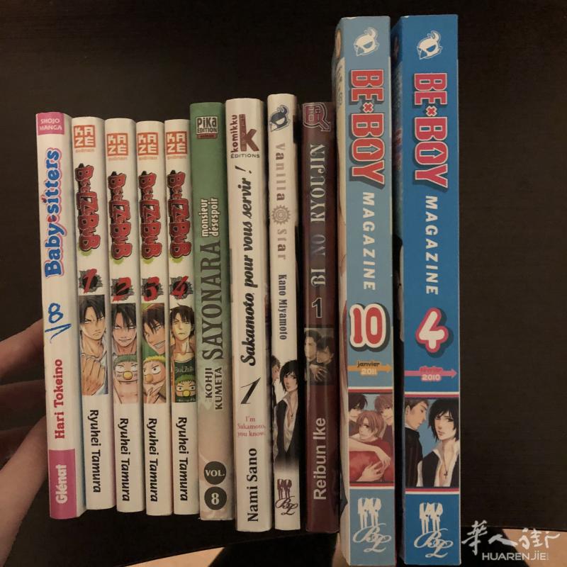 凌乱的几本漫画，法语的，2欧左右一本