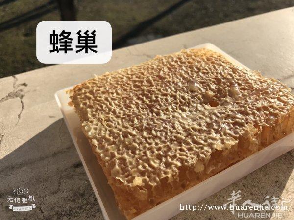 可以嚼着吃的蜂蜜！蜂巢蜜！好处多多