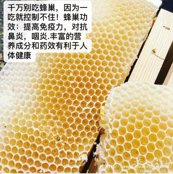 食疗蜂巢治鼻炎，咽炎！