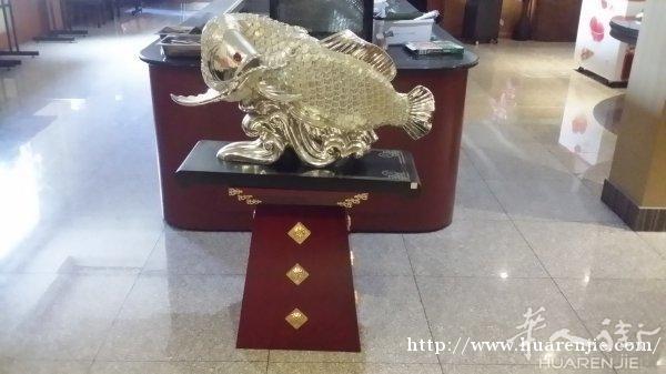 招财金龙鱼