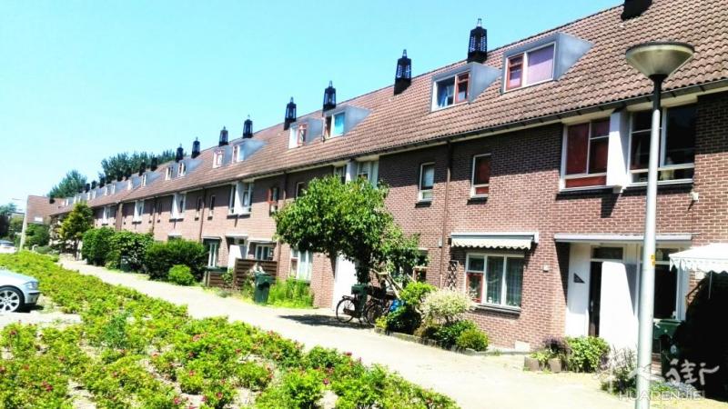荷兰阿姆斯特丹市中心花园洋房华人民宿家庭旅馆