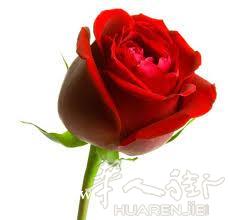 布来西亚市内。老外洒吧转让生意稳定客人好做