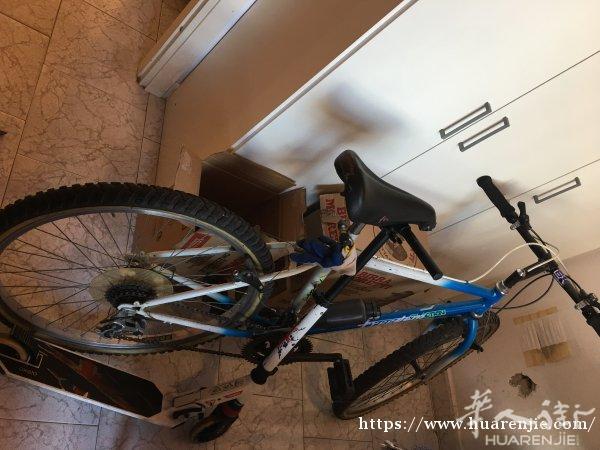 回国了，50欧元转让自行车