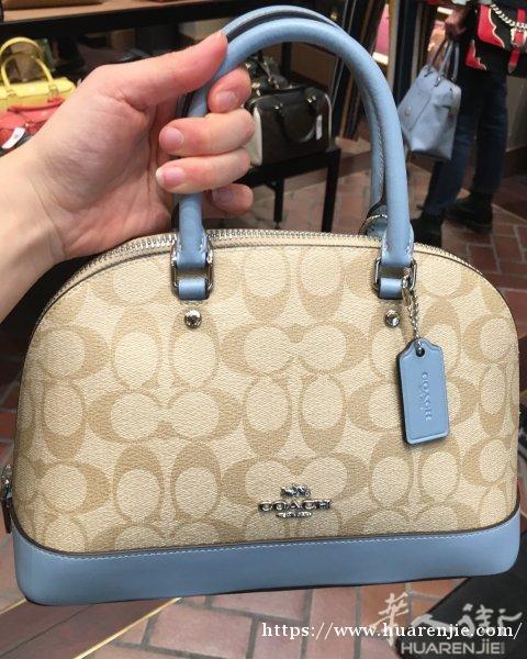 甩一个全新coach包250€