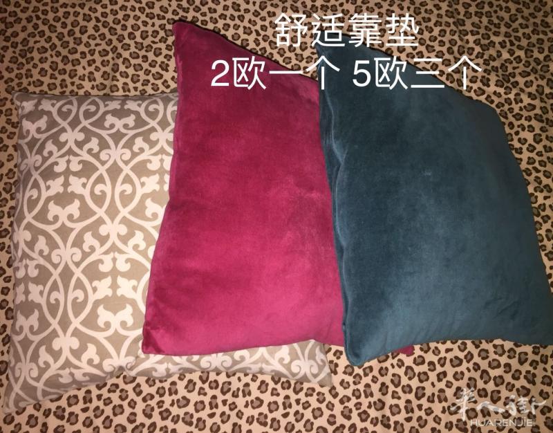 舒适靠垫2欧1个