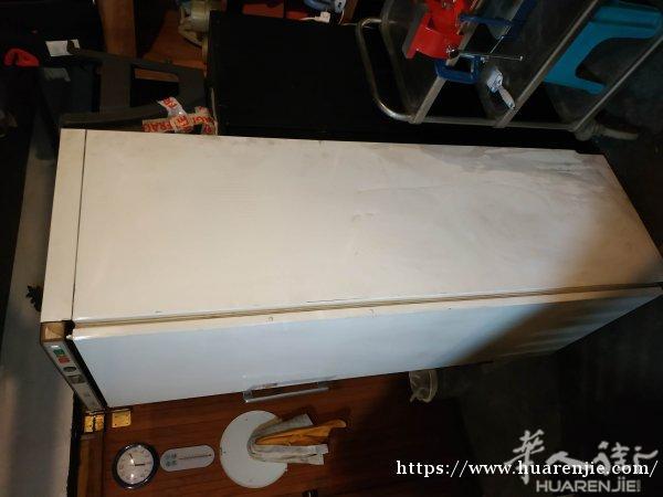 立式大急冻冰箱让100欧