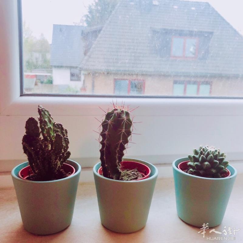 🏠汉堡别墅区WG大主卧五月底起（具体时间可商量）