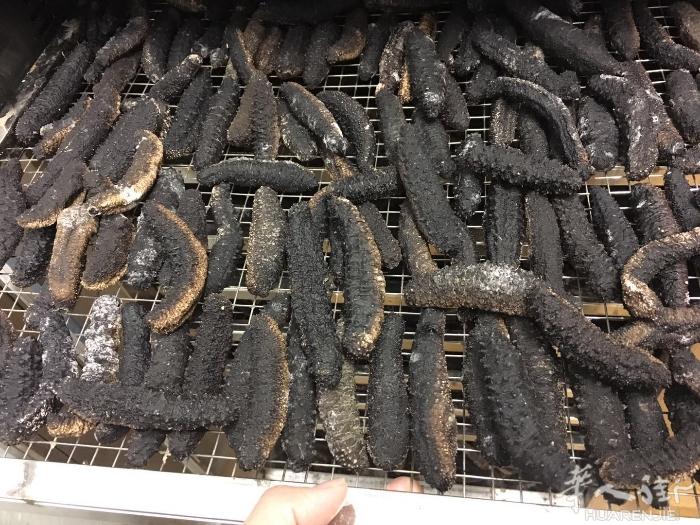 地中海深海海参，打捞烘干一条龙，纯天然，价格绝对好，因为地域原因，适合量大的二手
