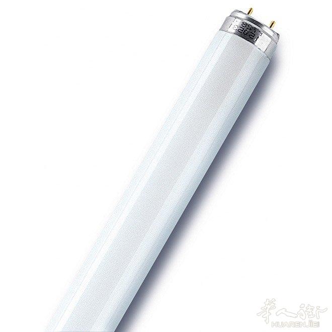 灯管 灯泡