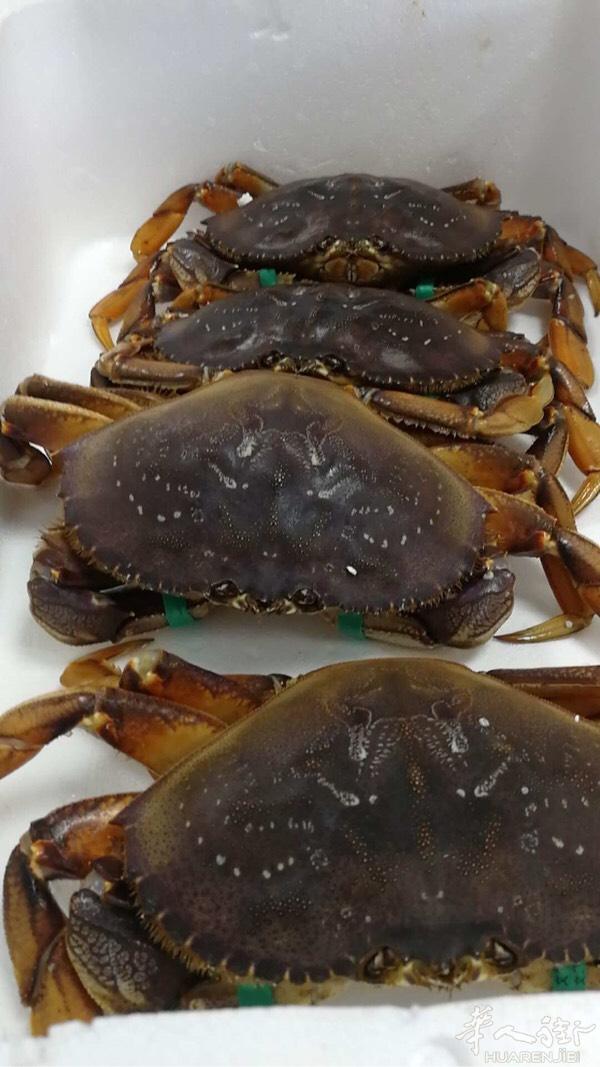 prato 海鲜店转让 联系电话3313117799