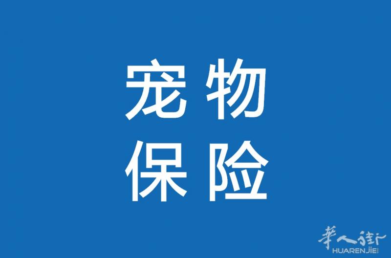 宠物保险--给宠物最细致的爱