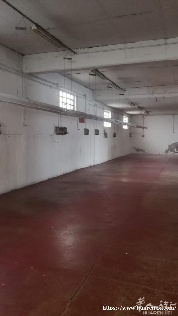 Capannone,+ laboratorio + abitazione ,in affitto