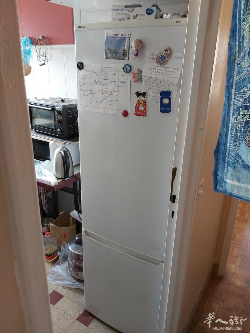 超低价278升PROINE（PLC281）冰箱：50欧