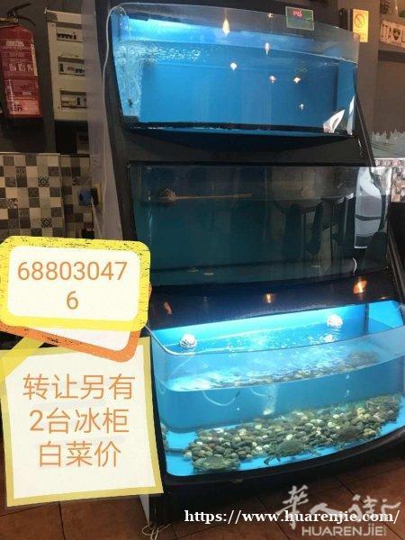 冰箱和海鲜池低价出售