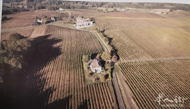 波尔多酒庄投资：198万欧元40公顷超级波尔多葡萄园资产出售（AOP BORDEAUX SUPERIEUR)