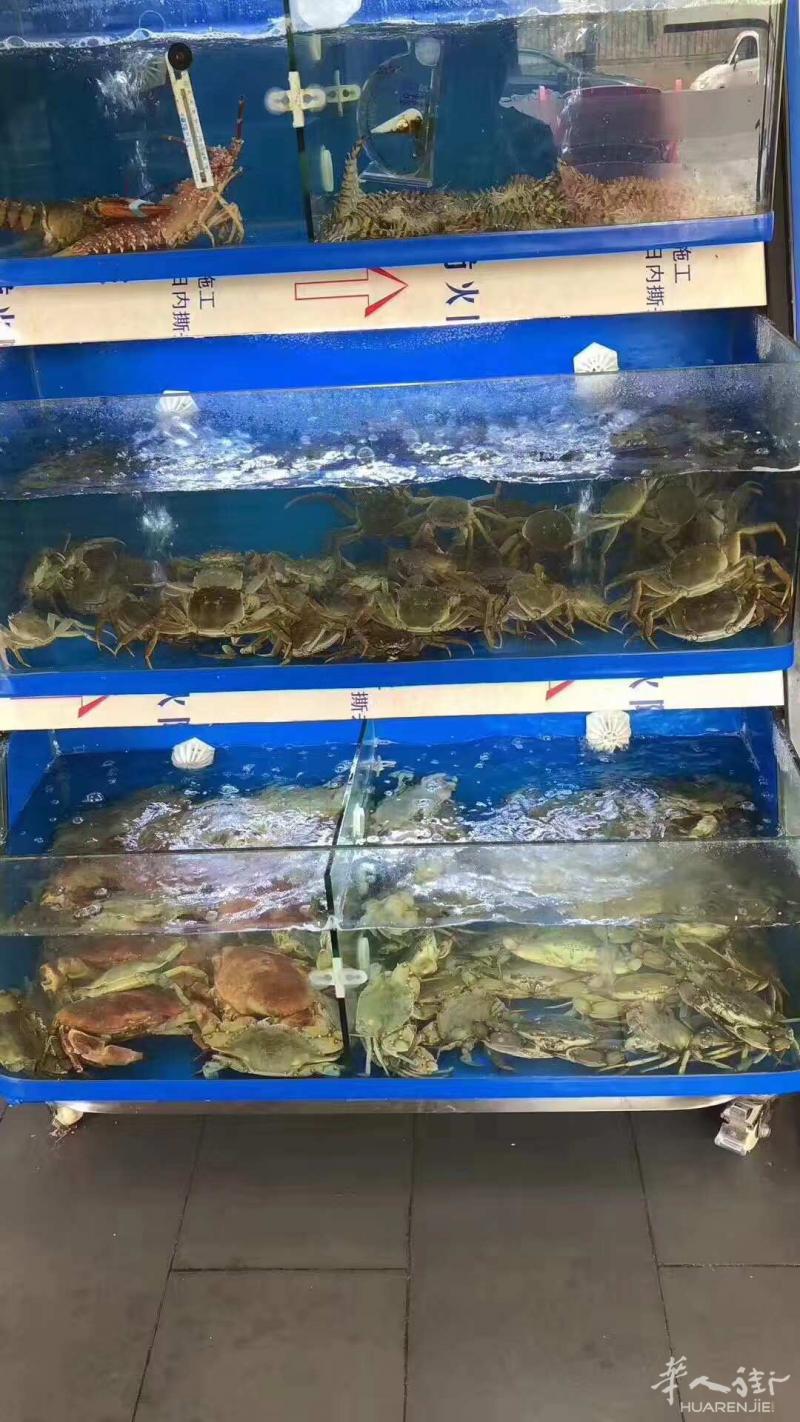 出售中餐馆海鲜柜