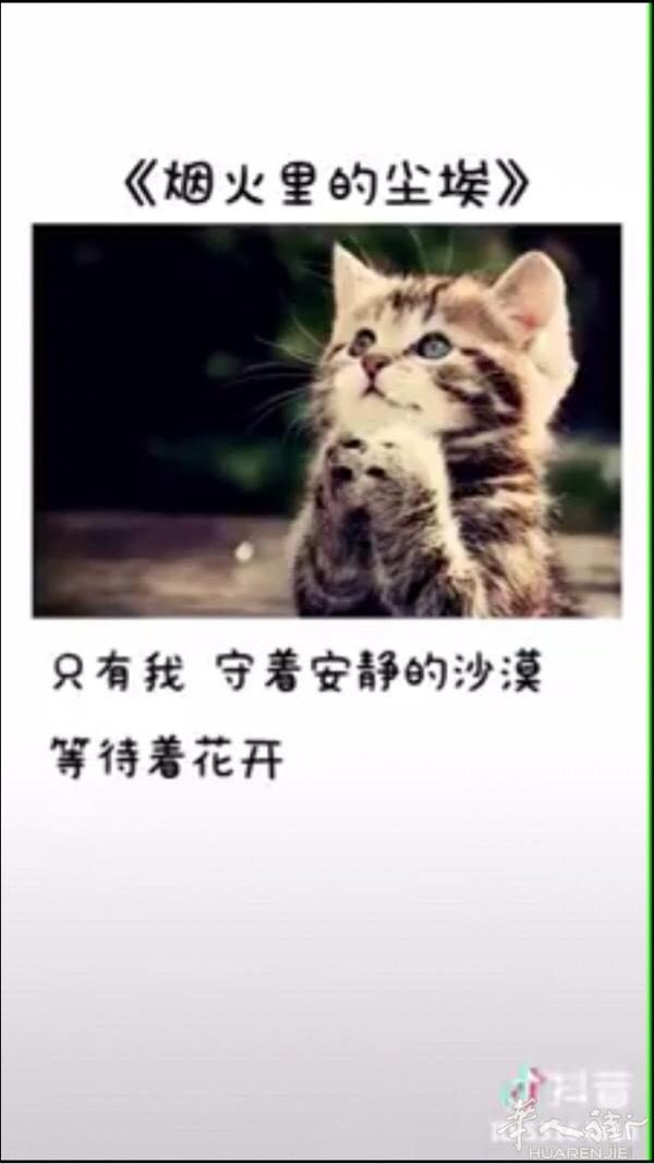 先了解一下 交朋友 94年的 长相一般身高一般身材