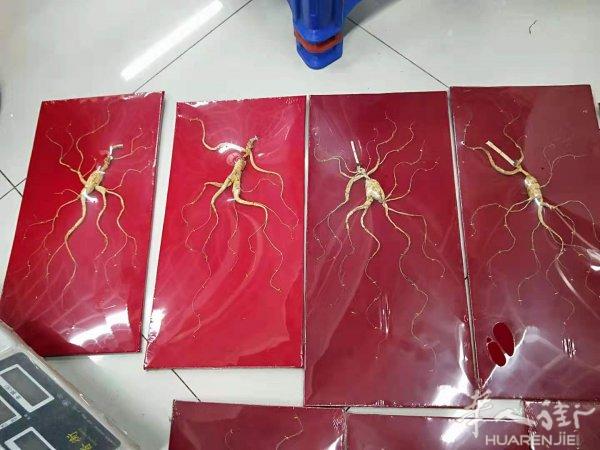 补品人参
