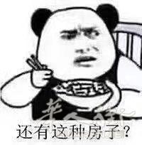 抢不到77的别墅,咱可以抢顶楼南北通透超大露台的公寓呀!