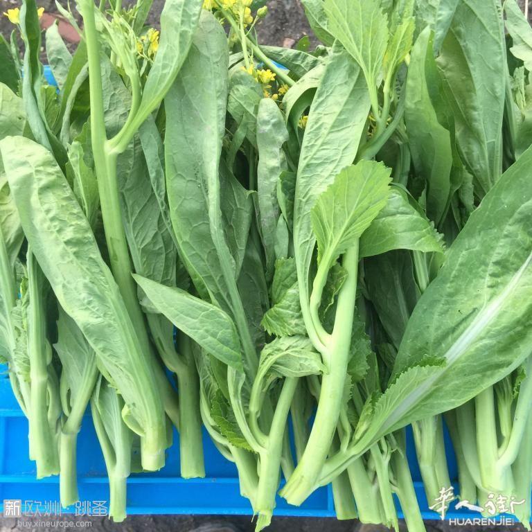 https://att.huarenjie.com/attachment/information/20191015/1571152849823947.jpg