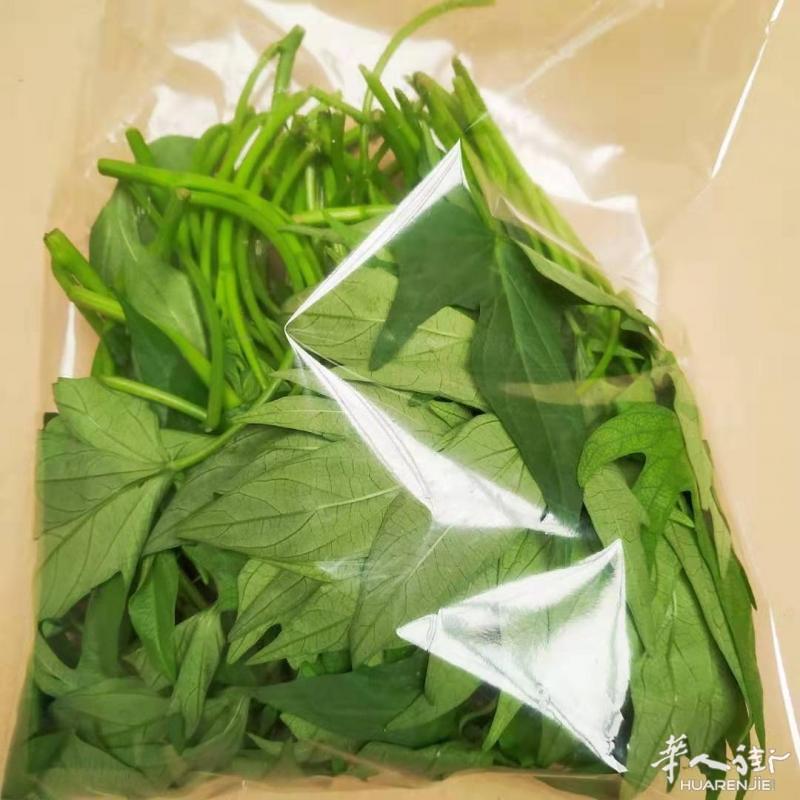 https://att.huarenjie.com/attachment/information/20191015/1571152716204903.jpg